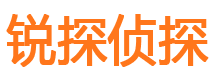 阳朔市调查公司